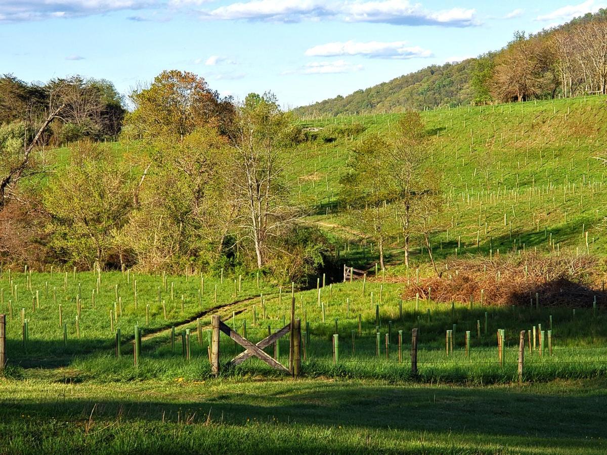 Villa Walnut Run Farm Woodville Exterior foto