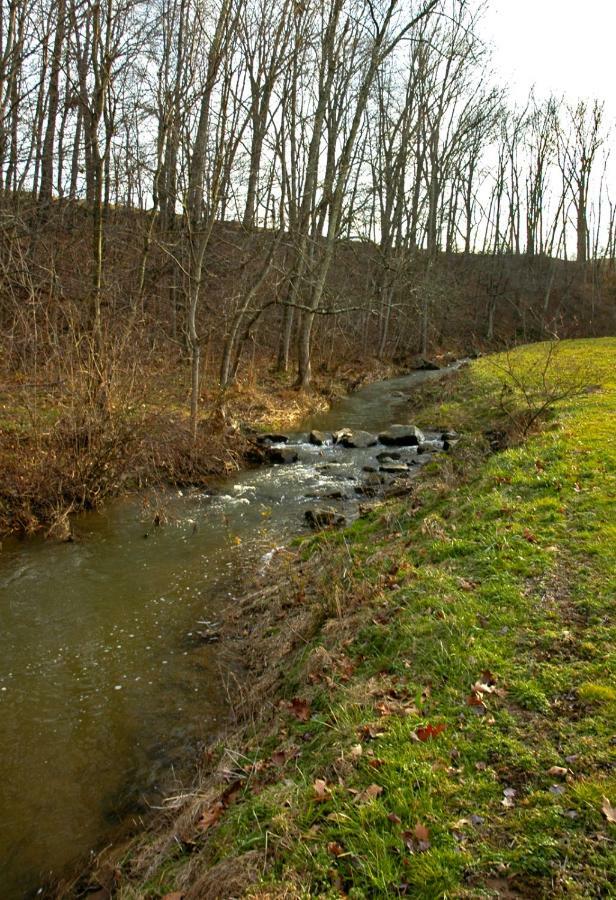 Villa Walnut Run Farm Woodville Exterior foto