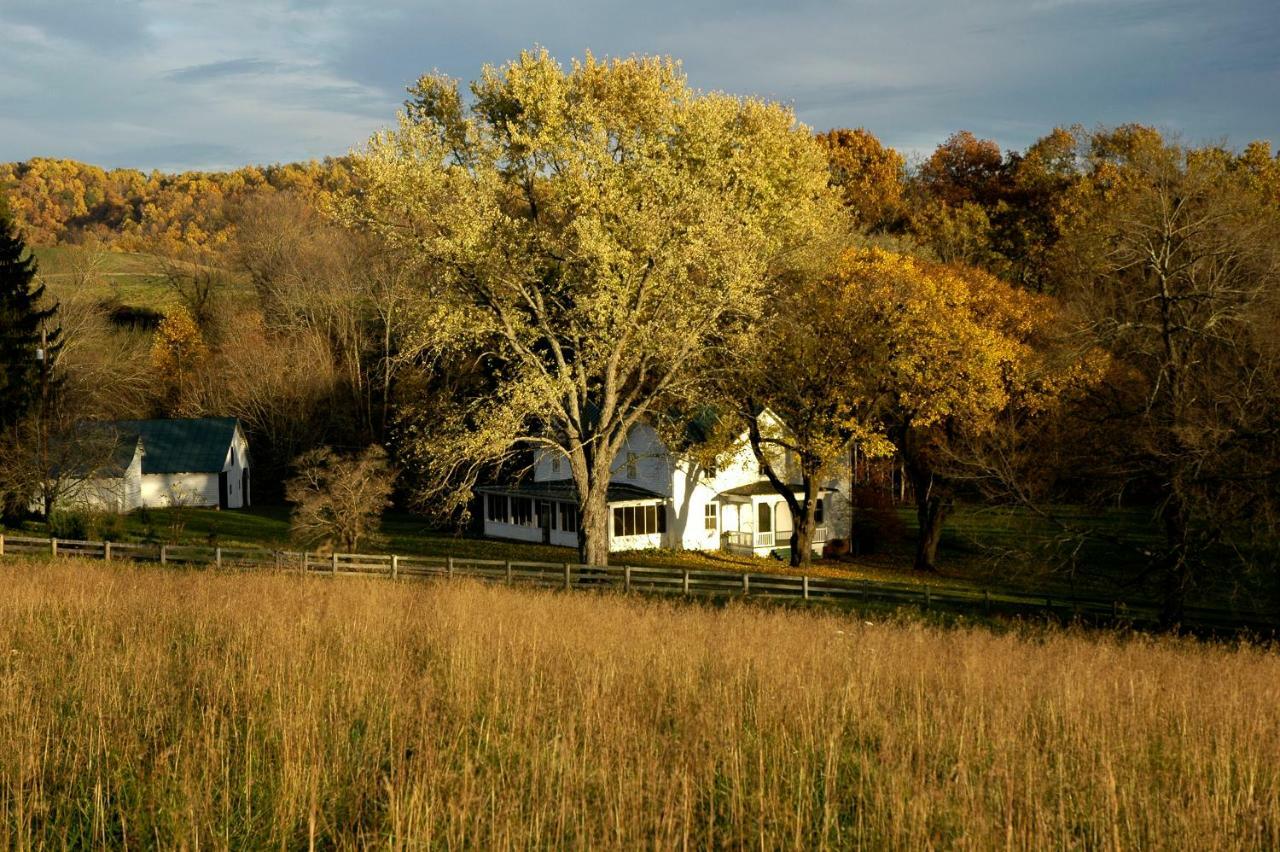Villa Walnut Run Farm Woodville Exterior foto
